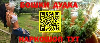 мдпв Обь